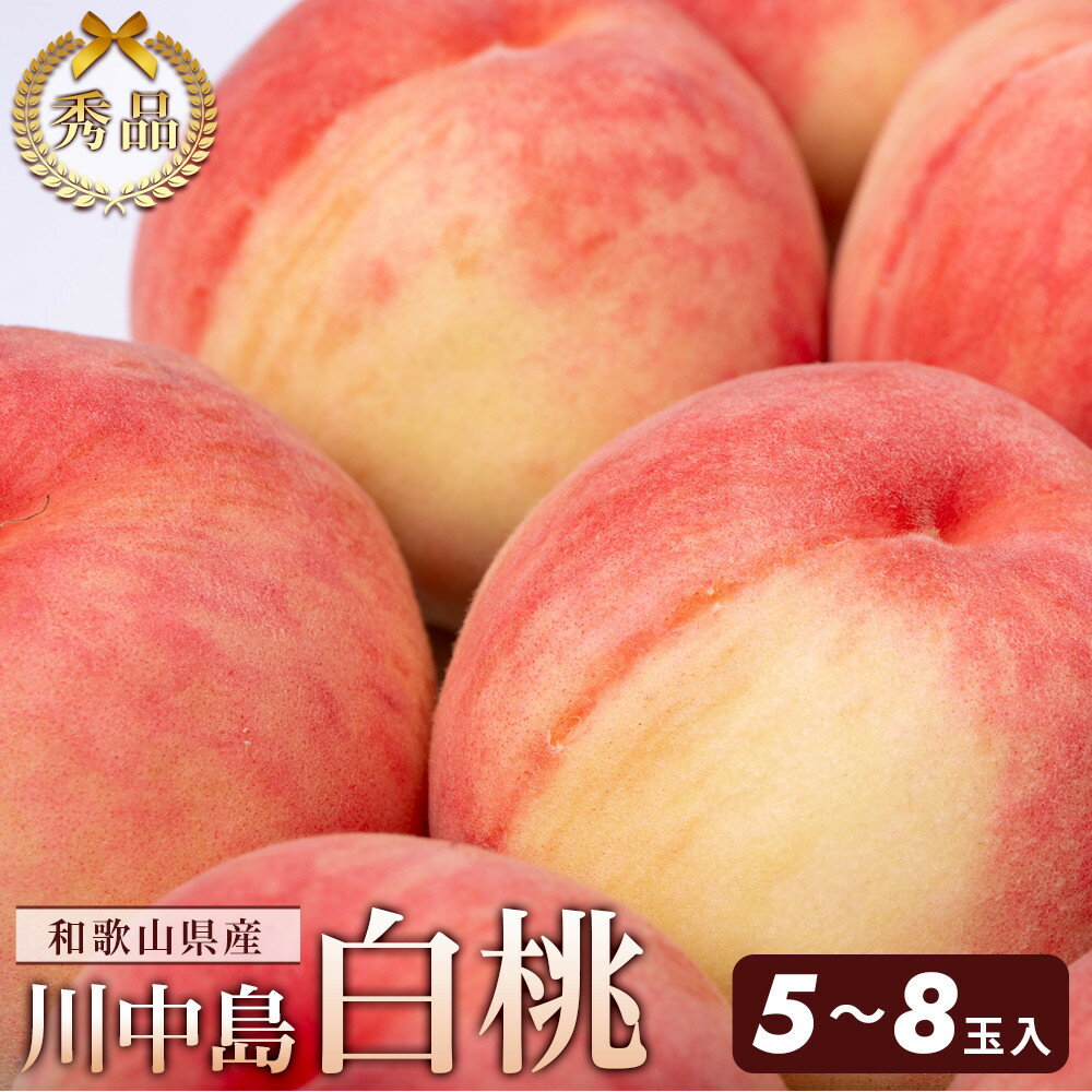 【ふるさと納税】和歌山県産 川中島白桃 5～8玉入り 秀品 先行予約【2025年7月下旬以降発送】［MG7］ | 和歌山 和歌山県 上富田町 返礼品 お取り寄せ ご当地 お土産 桃 モモ もも 白桃 果物 くだもの フルーツ 特産品 名産品 食品 食べ物 お礼の品 楽天ふるさと 納税 農産物