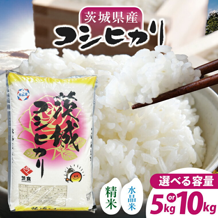 【ふるさと納税】【数量限定】【選べる内容量】【令和7年産】茨城県産コシヒカリ 5kg or 10kg 【お米 ごはん こしひかり おにぎり ごはん 茨城県 水戸市】(NQ-1)