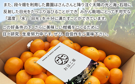 ＜おはこやがつくる 甘平 約2kg（L～3Lサイズ）＞ 果物 フルーツ 柑橘 カンペイ みかん ミカン 蜜柑 特産品 西宇和 愛媛県 西予市【常温】『2025年2月上旬から2月下旬迄に順次出荷予定』M