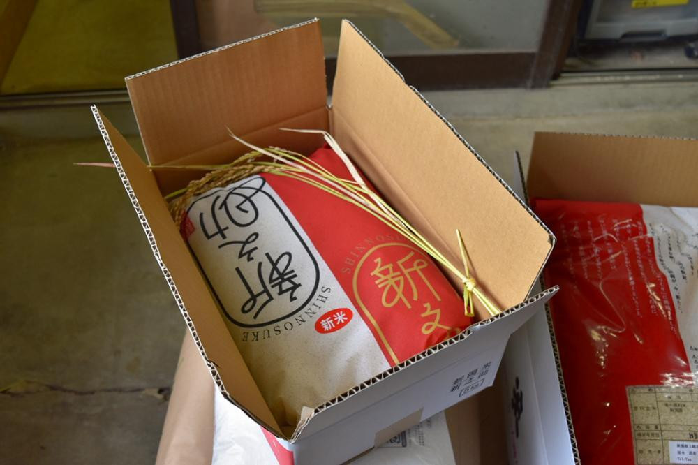 令和8年・新潟県上越産|新潟ブランド米「新之助」精米10kg(5kg×2袋)