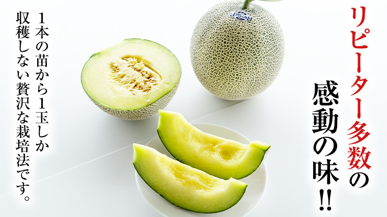 【2025年8月下旬発送開始】 季節 限定 ！甘さ満点 アールスメロン 2玉 入箱 果物 フルーツ 農家直送 産直 青肉メロン 特産品 マスクメロン メロン くだもの 茨城 [BC045sa]