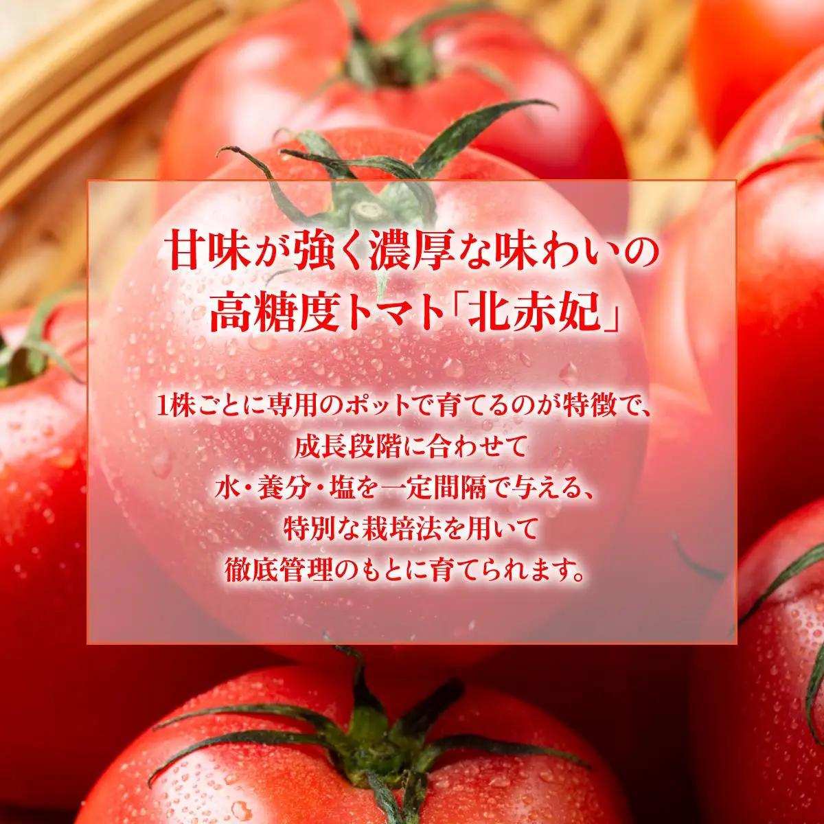 【2026年 発送 】 先行予約 北海道 伊達市 高糖度 トマト 北赤妃 きせき 約1kg  1箱 Mサイズ とまと 新鮮 ジューシー 産地直送