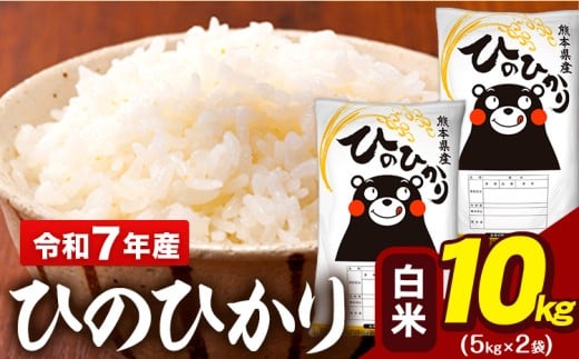 令和7年産 白米 米 ひのひかり 10kg (5kg袋×2)《7-14日以内に出荷予定(土日祝除く)》熊本県 大津町 国産 熊本県産 白米 精米 送料無料 ヒノヒカリ こめ お米
