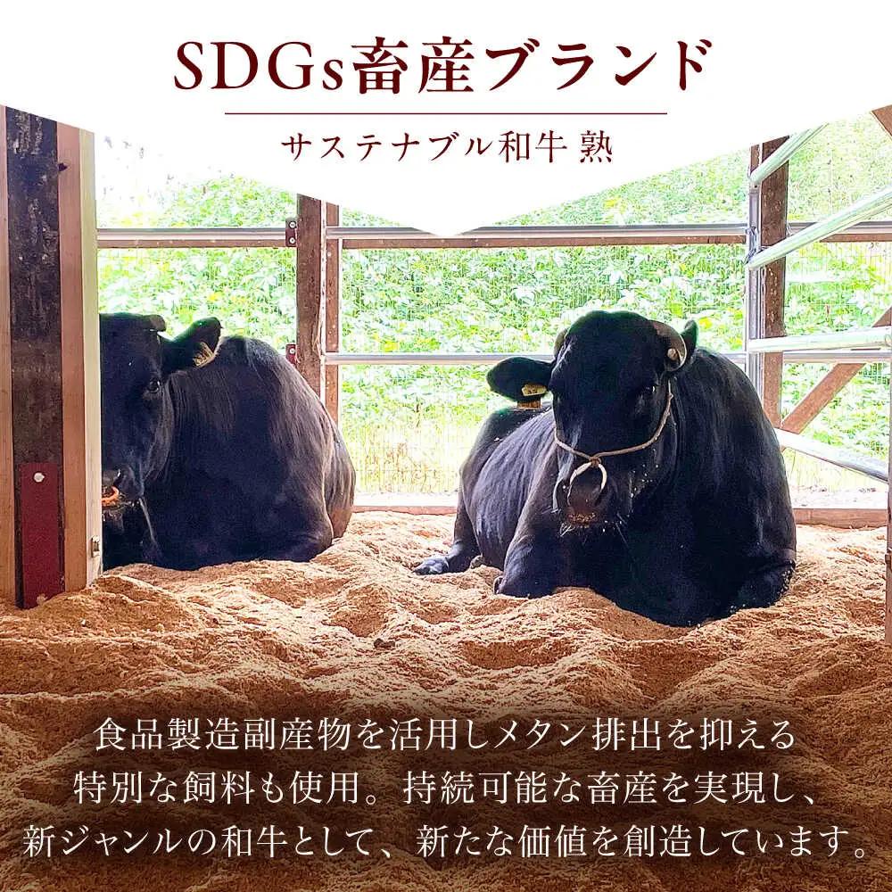 牛肉 サステナブル和牛 熟 鍋守 赤のもつ鍋セット 4-5人前 モツ500g  [AIAT006] 