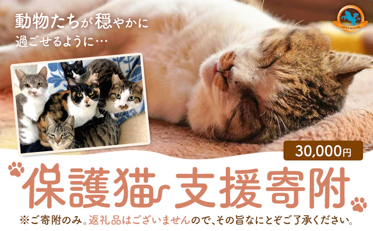 【返礼品なし】保護猫支援寄附 30,000円 一般社団法人オープンセサミアライブ 熊本県 南阿蘇村 保護猫 支援 猫 ネコ ねこ 生活支援 動物愛護 保護 返礼品なし 寄附 牧場 オープンセサミ アニ