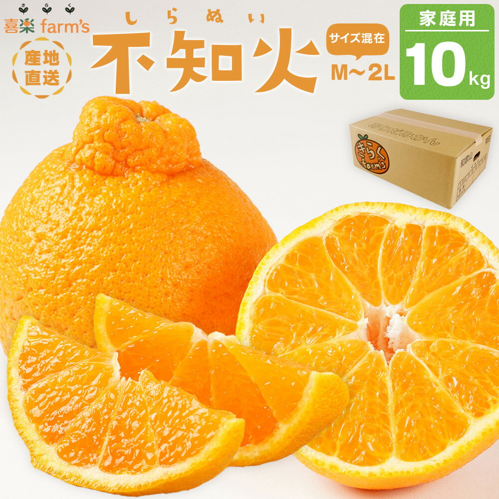 【ふるさと納税】【産地直送】☆不知火☆家庭用☆約10kg | みかん 不知火 柑橘 和歌山 有田 しらぬい 柑橘類 和歌山県 有田川町 果物 フルーツ 家庭用 10kg ふるさと納税 返礼品 故郷納税