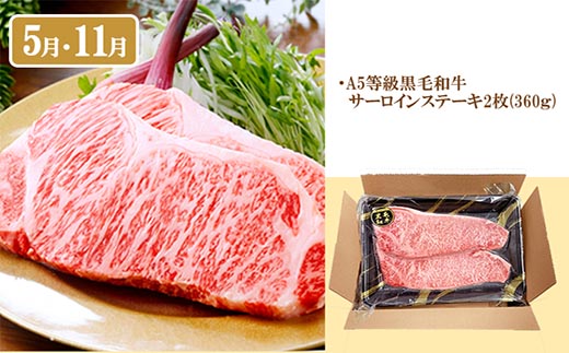 定期便(6回)A5等級黒毛和牛・黒豚・かつお・まぐろ FF-0058【1166770】 _ 定期便 牛肉 肉 お肉 サーロイン ステーキ  焼肉  ハンバーグ 切り落とし 豚肉 しゃぶしゃぶ ロース 