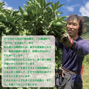 内谷農園 低温貯蔵すだち 家庭用 1kg