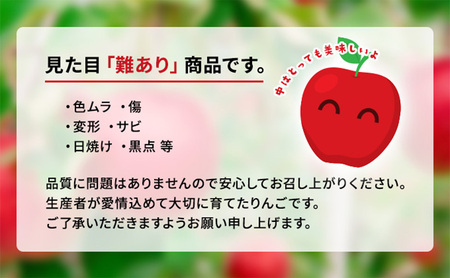 りんご 先行予約 家庭用 完熟 サンふじ 約 3kg (8～12玉) 田村ふぁーむ フルーツ 果物 冬 旬 旬のフルーツ 規格外 傷 不揃い 先行 予約 盛岡市産 林檎 リンゴ 岩手 岩手県 盛岡 盛