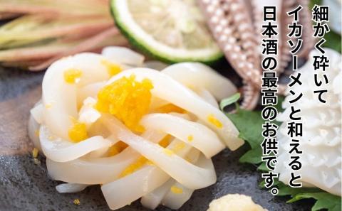 【超訳あり】カラスミ 100g 珍味 酒の肴 つまみ 魚卵 高知 須崎 日本酒 国産 家庭用
