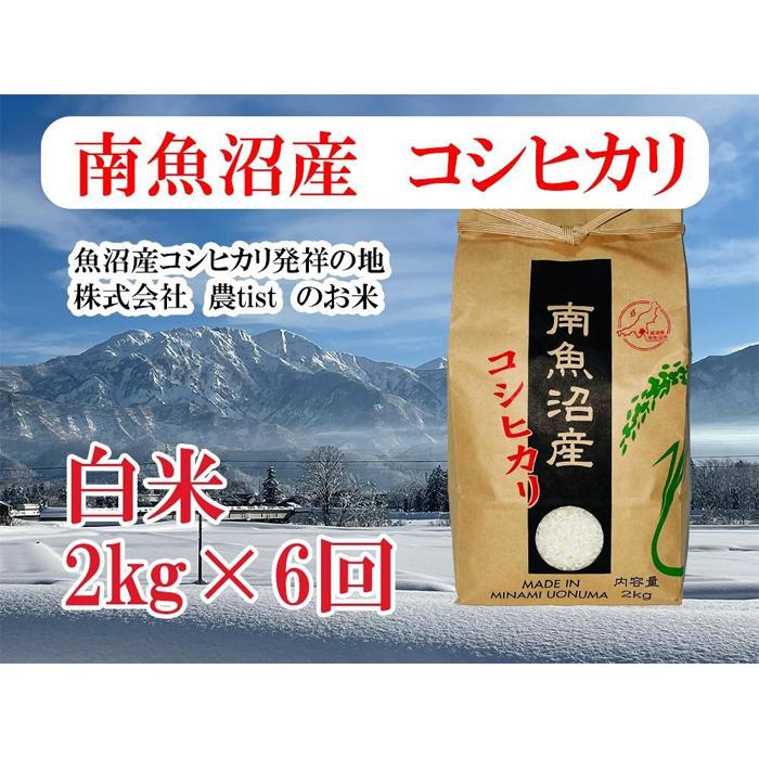 【ふるさと納税】【令和8年産 新米】【定期便 南魚沼産】コシヒカリ 白米2kg×6回【定期便 銘柄米 ブランド米 精米 こしひかり コシヒカリ 魚沼産 新潟米 産地直送 お米 米 こめ コメ ご飯 御飯 ごはん】