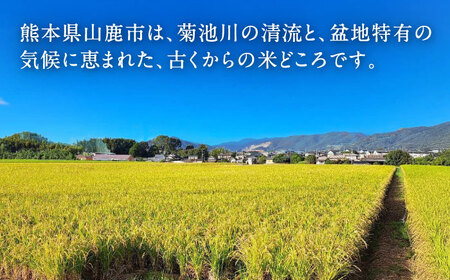 【先行予約】 ヒノヒカリ 無洗米 5㎏（5㎏×1袋） 【株式会社 岩下農園】[ZFS009]