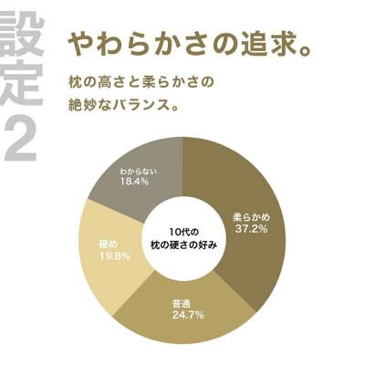 ふるさと納税 我孫子市 10代向けの枕 THE PILLOW Preset 16 10s |  | 02