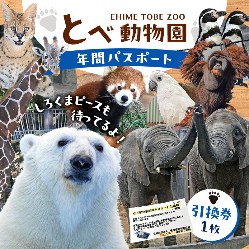 【ふるさと納税】とべ動物園「年間パスポート」 チケット 入場券 優待券 大規模 ジップライン