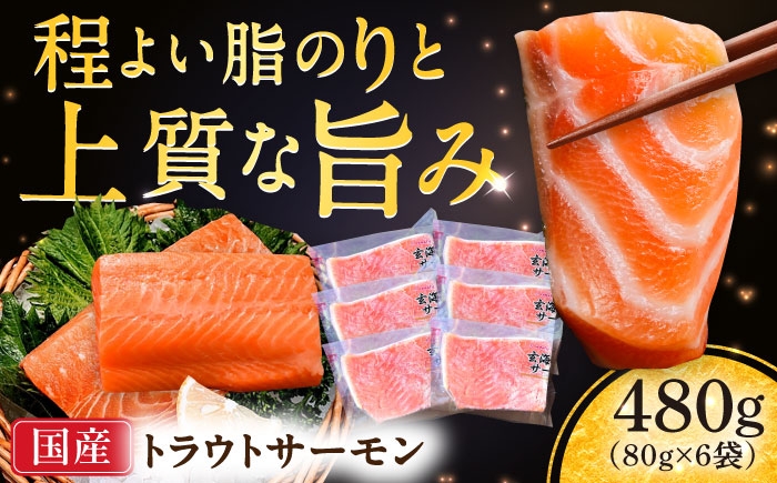 
                  玄海サーモン柵80g×6袋 / むき身 刺身用ポーション 小分け 真空パック / 佐賀県 [41AECT008]
                