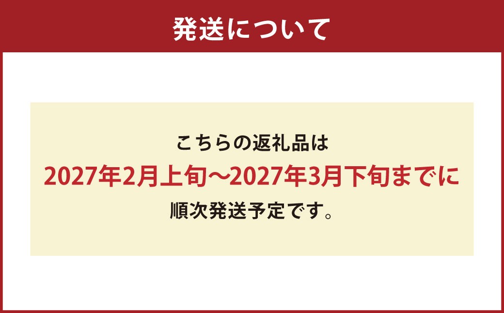 【いちごさん】佐賀県産いちご 約1kg