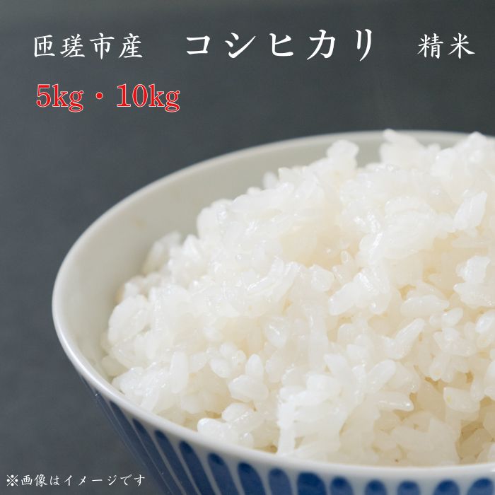 【ふるさと納税】匝瑳市産　コシヒカリ　精米　5～10kg ／ 米 こめ コメ コシヒカリ こしひかり 産地直送
