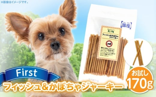 First フィッシュ＆かぼちゃジャーキーお試し用　1袋　