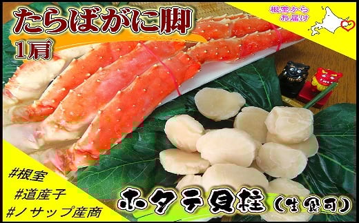 D-59039【年内配送可】 ボイル冷凍たらばがに脚1肩(900g)・生冷凍ホタテ貝柱1.2kgセット