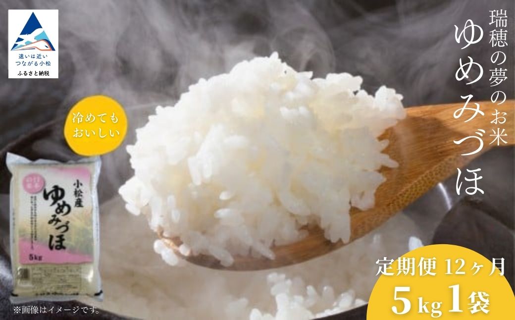 【先行予約】【定期便】令和8年産 小松産 ゆめみづほ 精米 5kg×12ヶ月（毎月） 米 お米｜石川県 小松市 ＪＡ小松市