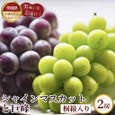 【ふるさと納税】No.318 【先行予約】シャインマスカットと巨峰　桐箱入り2房【茨城県共通返礼品 かすみがうら市】 ／ ぶどう ブドウ 葡萄 フルーツ 果物 詰合せ セット 贈答用 送料無料 茨城県