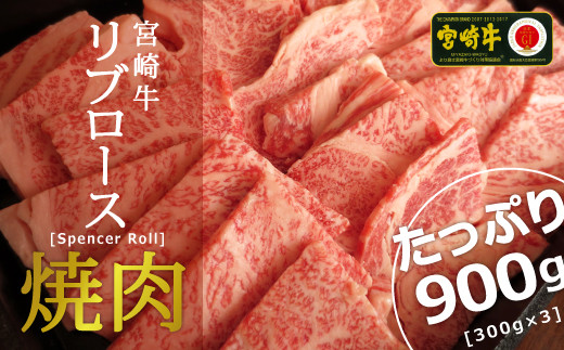 
＜宮崎牛＞リブロース焼肉 900g【E116】
