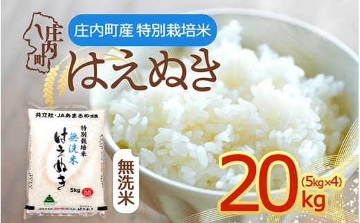 【令和8年産】特別栽培米 はえぬき 無洗米 20kg 5kg×4袋 庄内町産 余目産 余目町農協 あまるめ ブランド米 米 国産 単一原料米 山形 庄内平野