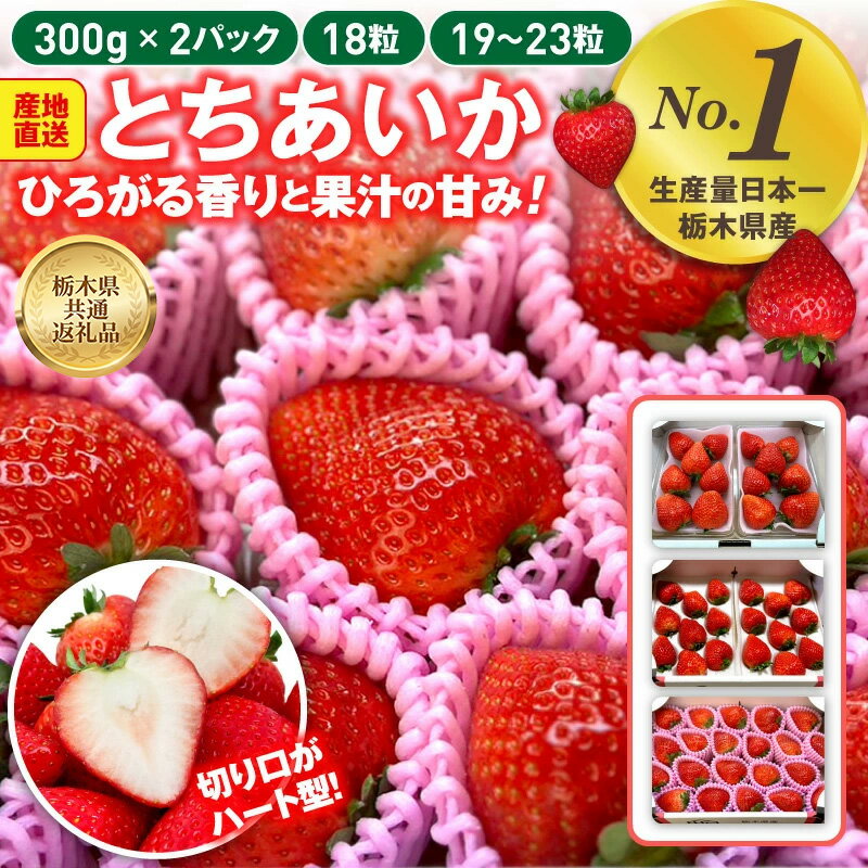 【ふるさと納税】【選べる内容量】いちご とちあいか 300g×2パック/18粒入/19粒～23粒入【栃木県共通返礼品】 | いちご イチゴ 苺 とちあいか 生いちご 高級いちご 季節の果物 栃木県産 国産 農家直送 ギフト プレゼント お祝い お返し いちごギフト ※2026年12月～発送
