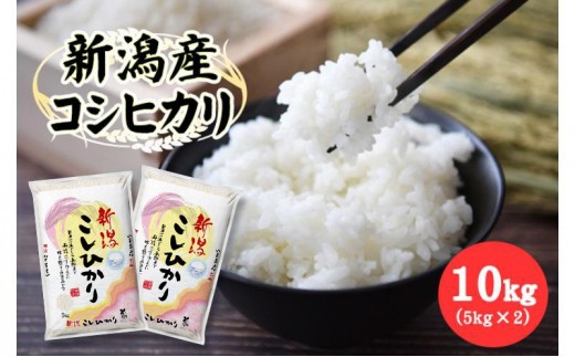 
                  新潟県産 コシヒカリ 10kg (5kg×2) 令和7年産 米 お米 こしひかり 白米 精米 新潟 ブランド米
                