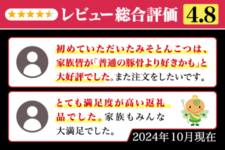 博多ラーメン　10人前　BZ002