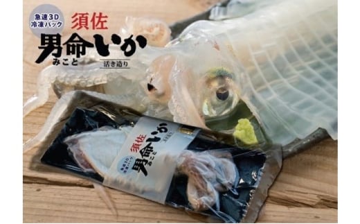 自宅で透明感を再現！須佐男命いかの姿造り（刺身）特殊冷却「3D冷凍」パック 1個　｜HG000427