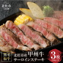 【ふるさと納税】甲州牛 黒毛和牛 肉 サーロイン ステーキ サーロインステーキ 山梨県 北杜市産 A4・5ランク級 3枚 250g×3枚 送料無料