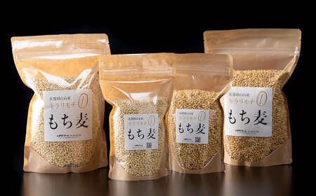 【令和7年度産】【全2回定期便】もち麦（キラリモチ）計4kg（2kg×2回） 【有限会社定松ファーム】[IBV008]