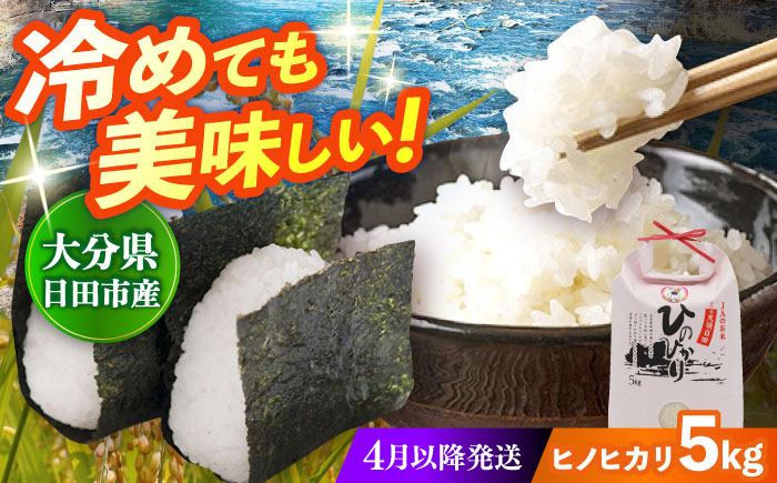 【先行予約・26年4月以降発送】令和7年産大分県産ヒノヒカリ 5kg　日田市 / JAおおいた日田グリーンセンター こめ コメ 米 [ARDX010]