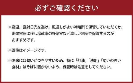 【令和7年産】くまさんの輝き15kg（5kg×3）お米 白米 くまさんのかがやき 熊本県 湯前町