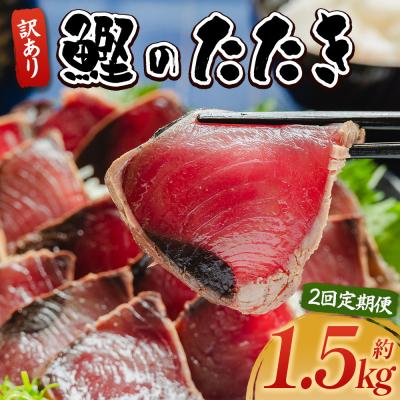 ふるさと納税 香南市 【2回定期便】訳あり 鰹タタキ 1.5kg da-0003