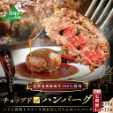 【ふるさと納税】【隔月定期便】「別海牛チョップドインハンバーグ 100g×12個 」 × 4ヵ月【全4回】（ はんばーぐ 牛ハンバーグ 牛はんばーぐ 惣菜 おそうざい 牛100% 牛肉100% ふるさと納税ハンバーグ 牛肉 牛 お肉 北海道 ふるさと納税 おすすめ 赤身肉 赤身 国産 定期 ）