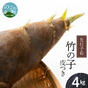 【ふるさと納税】【先行予約】竹の子　皮付き　4kg