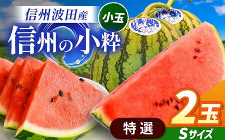 【先行受付】信州波田産 小玉スイカ！信州の小粋 【特選】 2玉 Sサイズ