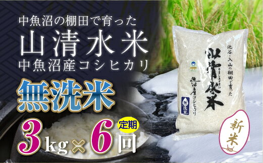 【ふるさと納税】【定期便／全6回】無洗米3kg　新潟県魚沼産コシヒカリ「山清水米」十日町市 米　お届け：寄附入金確認後、順次発送します。