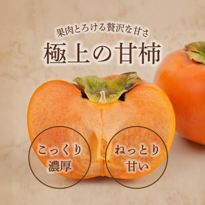 ふるさと納税 由良町 先行予約!富有柿　秀品6~8個入り　こだわり農家厳選【2026年10月末頃から順次発送】 |  | 01