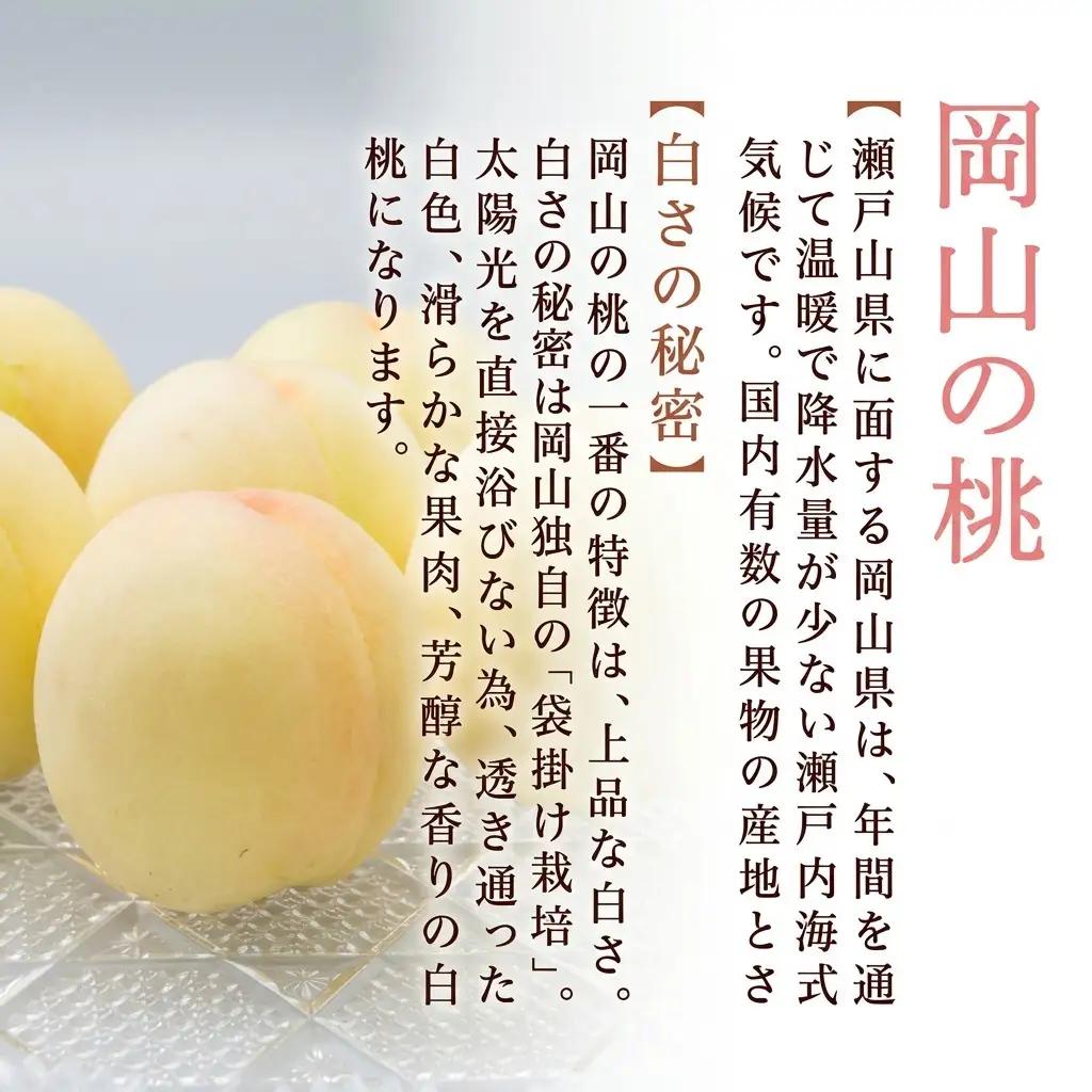 白桃 フルーツ もも 化粧箱入り 岡山県産 白桃【8玉 1.7kg以上】【先行予約】