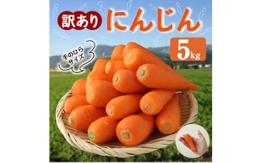 訳あり にんじん 5kg