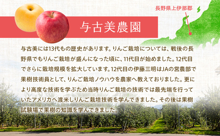 【2024年】信州の梨 品種おまかせ 約3kg フルーツ 果物 デザート なし ナシ 産地直送 長野県 信州産