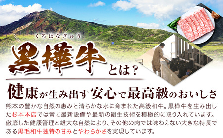 黒毛和牛 焼肉用カルビ・モモ・切り落としセット|杉本本店