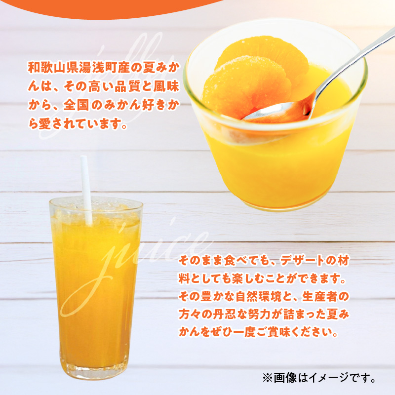 ZE6504_【2026年先行予約】和歌山県産　夏みかん　3kg　秀品