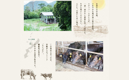 もとぶ牛カルビ焼肉（ギフト用）500g