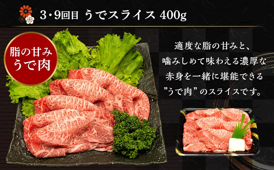 【12ヶ月定期便】熊本県産 A5等級 黒毛和牛 和王 食べ比べ