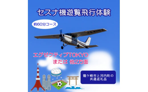 ＜ペア＞セスナ機遊覧飛行体験〈約60分コース〉(フライトN・O・P)　龍ケ崎市と河内町の共通返礼品【1538690】