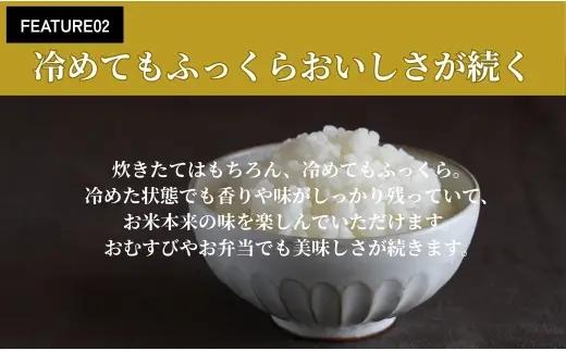 令和7年産 会津産コシヒカリ 米でいいの田゛玄米 5kg｜令和7年 2025年 会津産 米 お米 こめ コメ 玄米 こしひかり